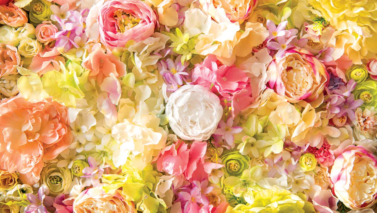 parishes-in-bloom-blackburn-cathedral