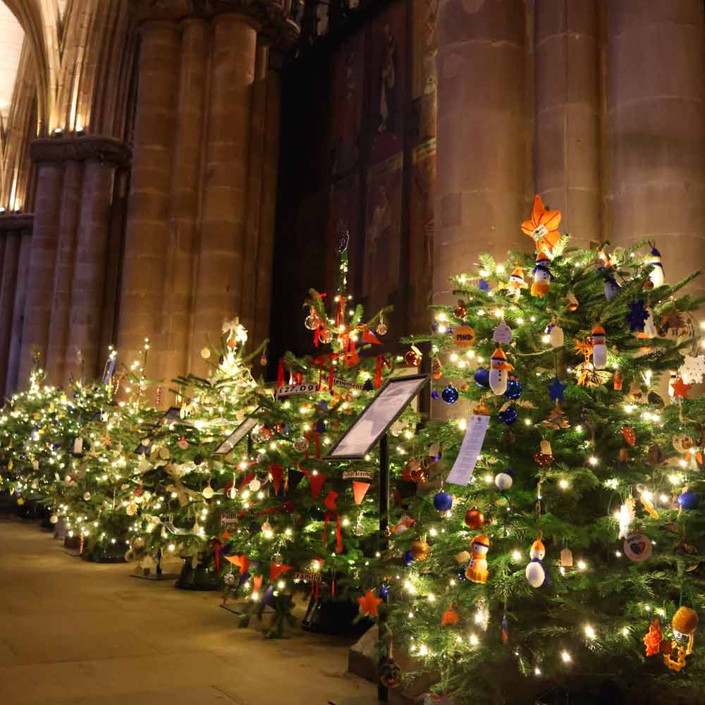 blackburn-cathedral-christmas-tree-festival-get-involved