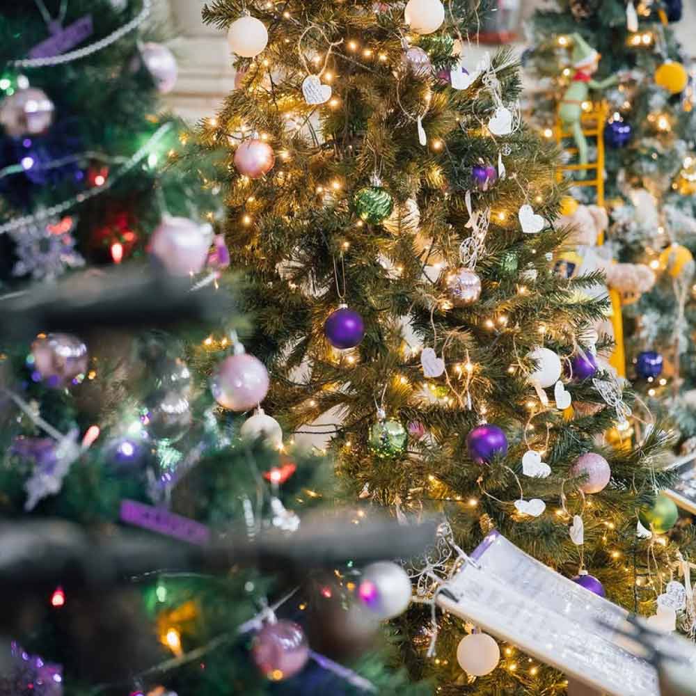 blackburn-cathedral-christmas-tree-festival-sponsorship