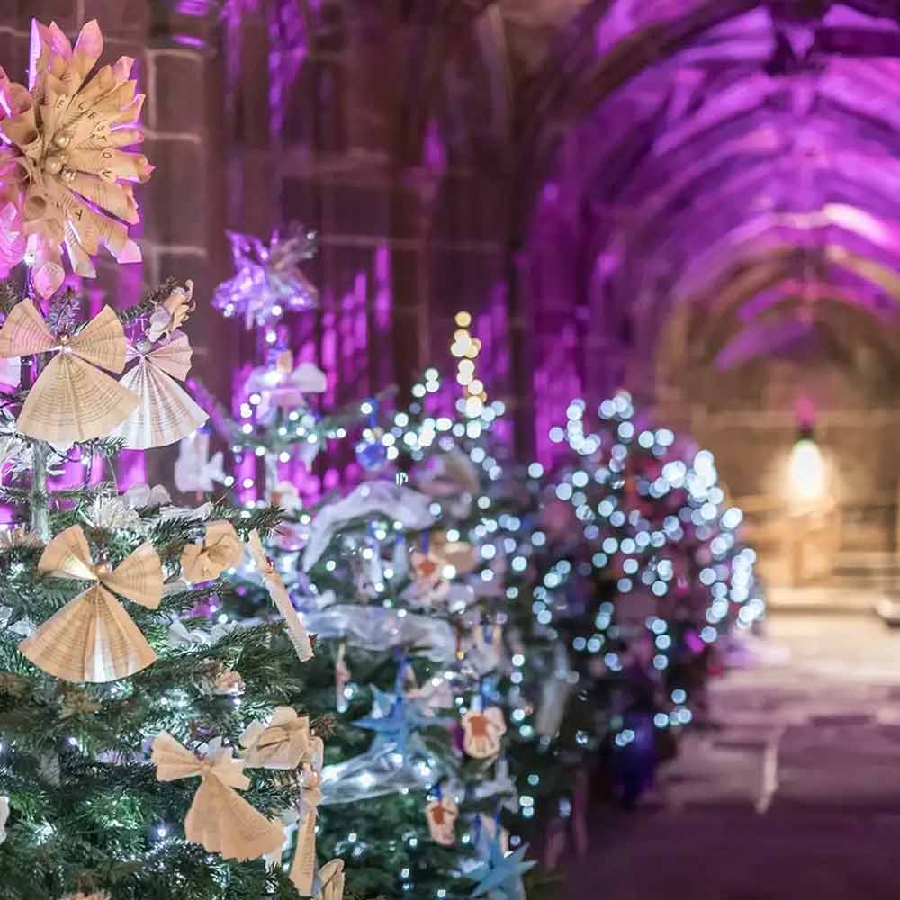 blackburn-cathedral-christmas-tree-festival-support