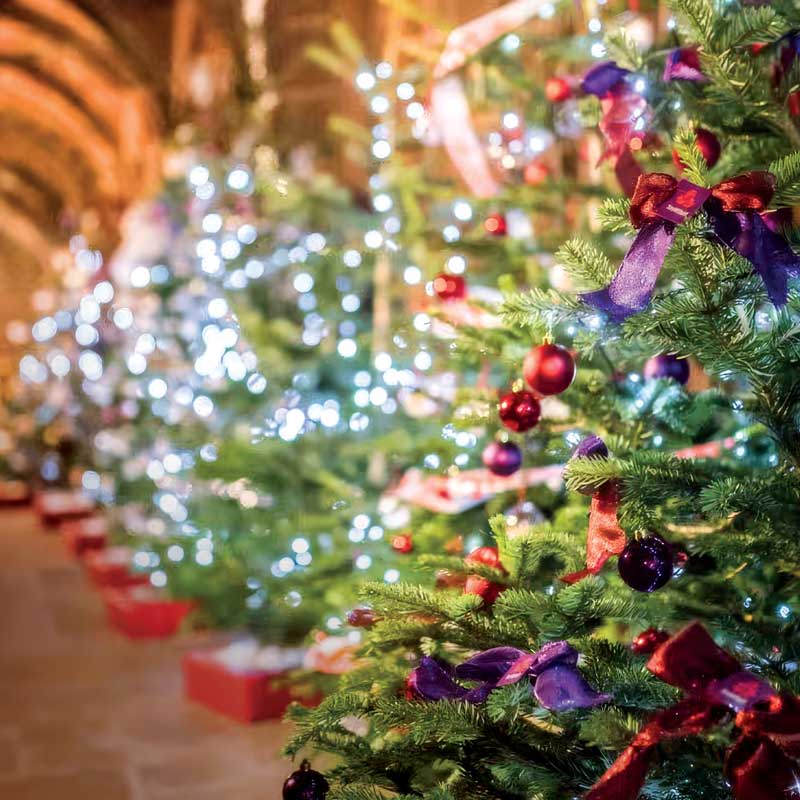 blackburn-cathedral-christmas-tree-festival-2026